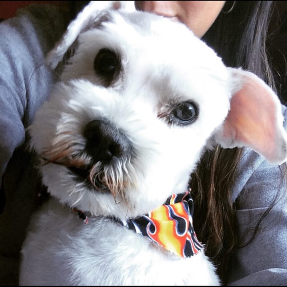 Meet your Posher, Lindsay - Picture 1 of 1